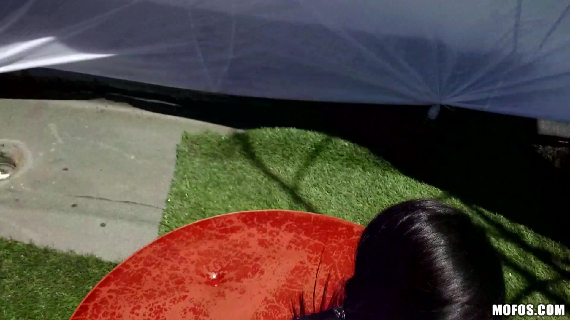Fucking Raven on the Roof