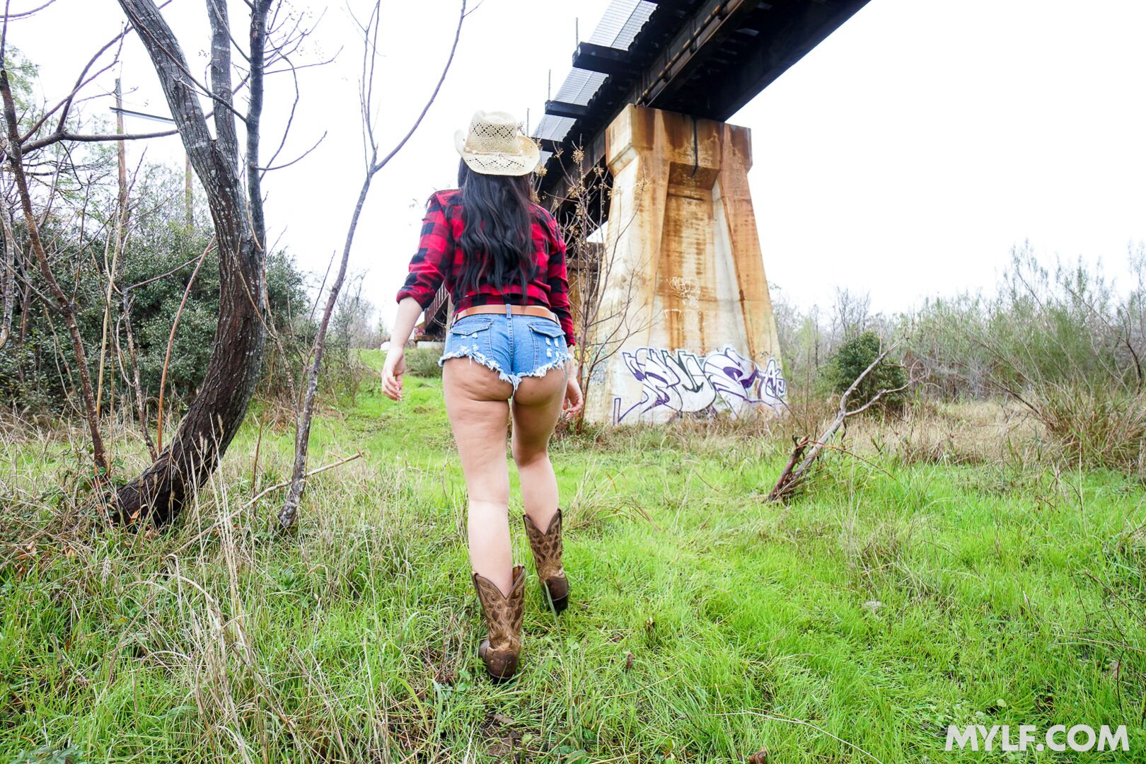 Cowgirls Crave Cock