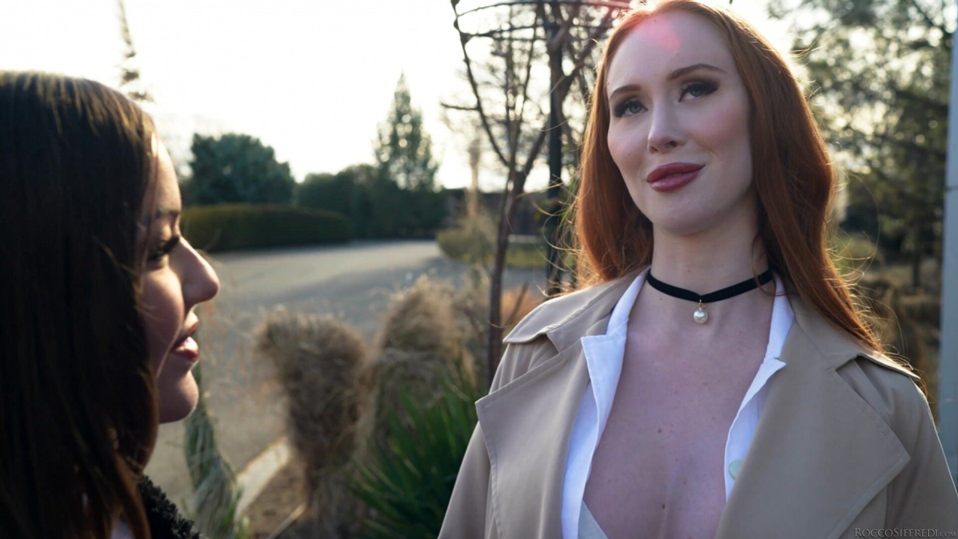 Rocco's Sex Clinic: Treatment #8 - Scene 4