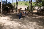 Sex in the Park!