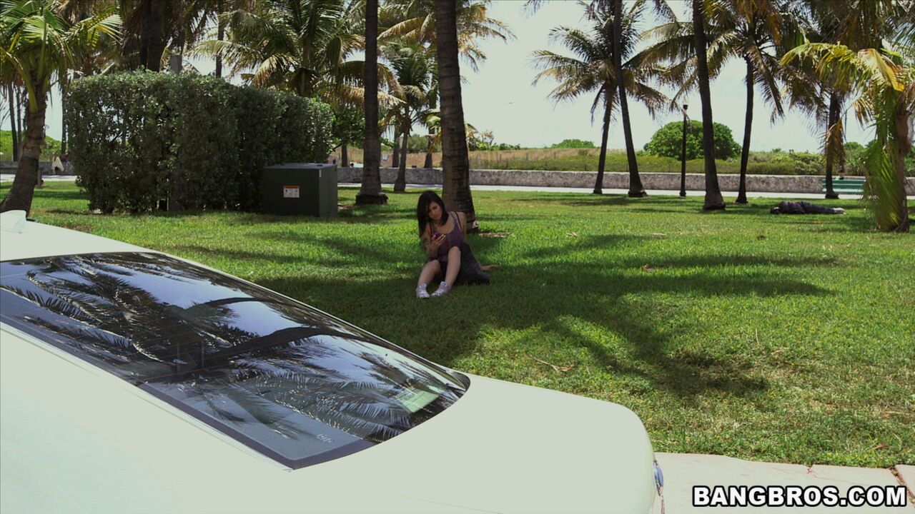 Sexy Brunette fucked On The BangBus