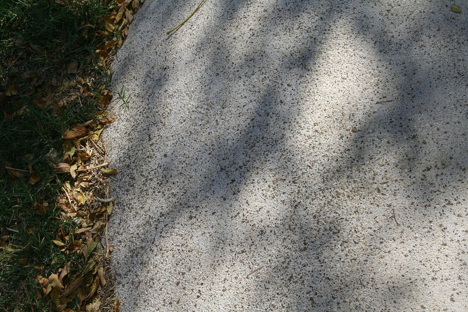 Madison Scott Gets A Facial In The Hot Tub