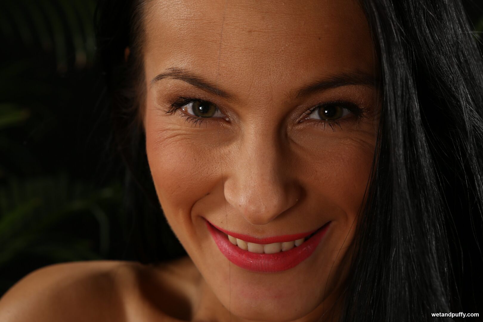 LEXI DONA — LEXI DONA