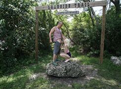 Fun at The Park