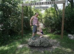 Fun at The Park