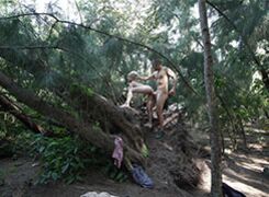 Fun at The Park