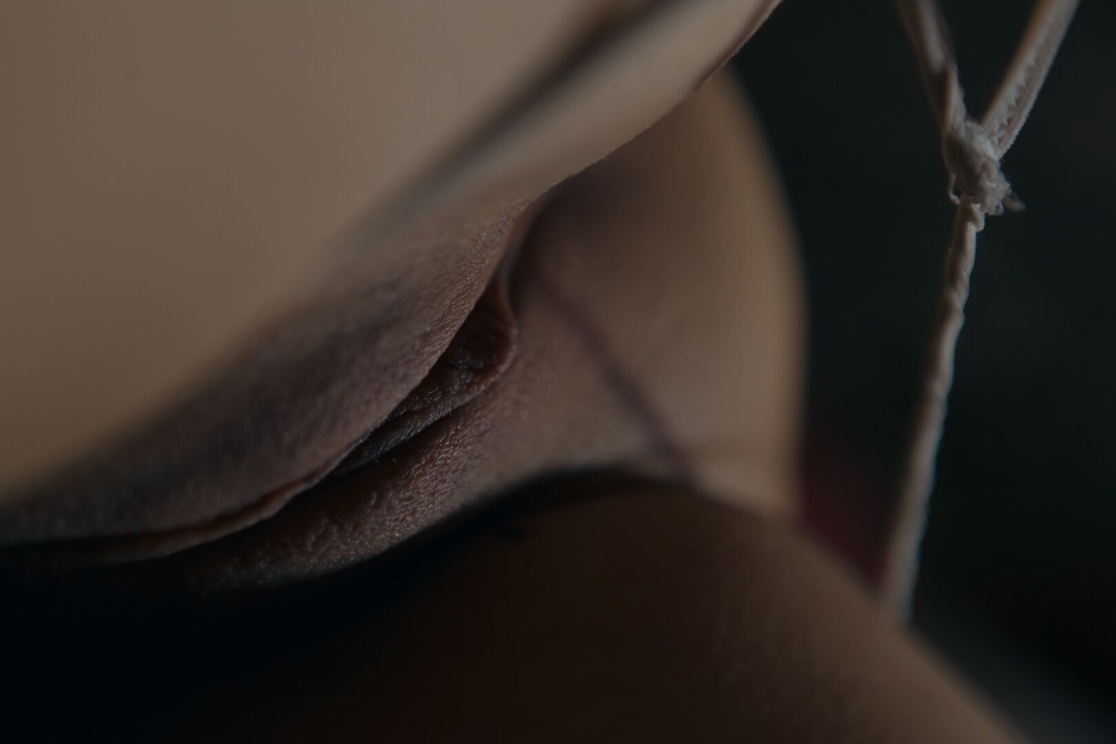 Kama Sutra 2