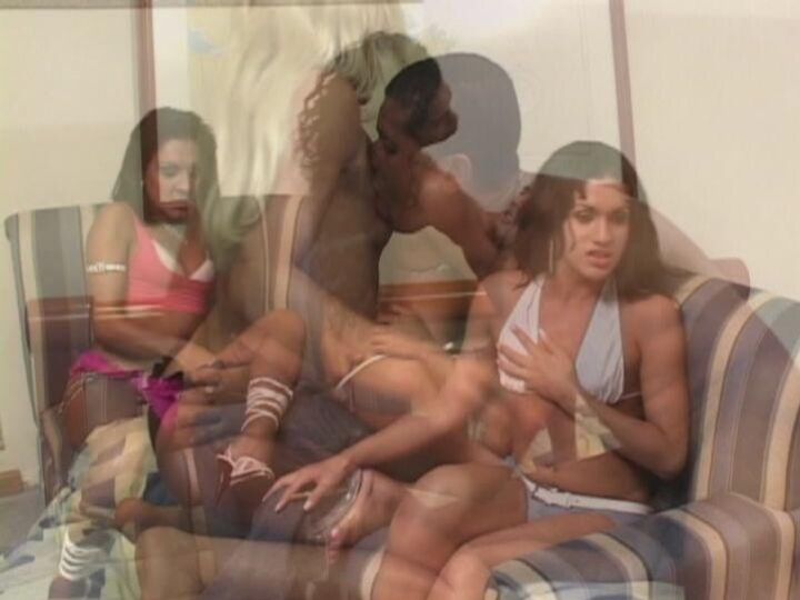 Transsexual paradise scene 1