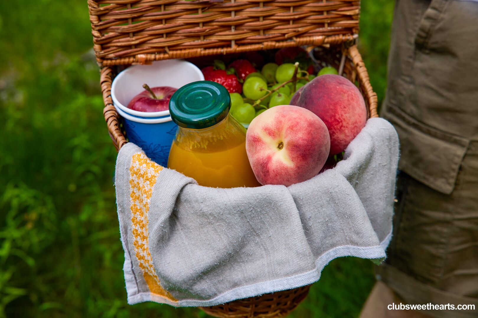 Picnic day at ClubSweethearts