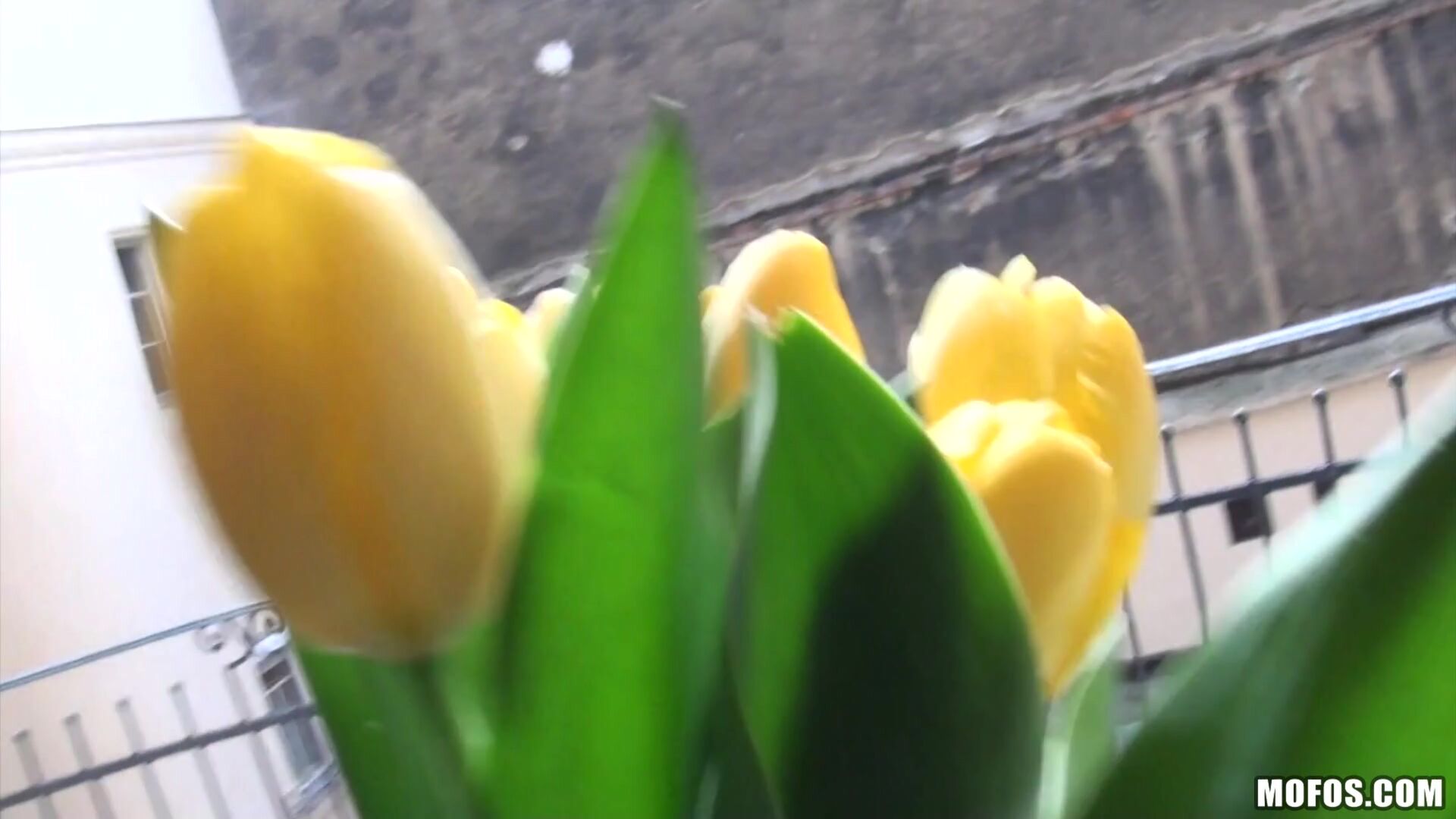 Couple Films Their First Anal