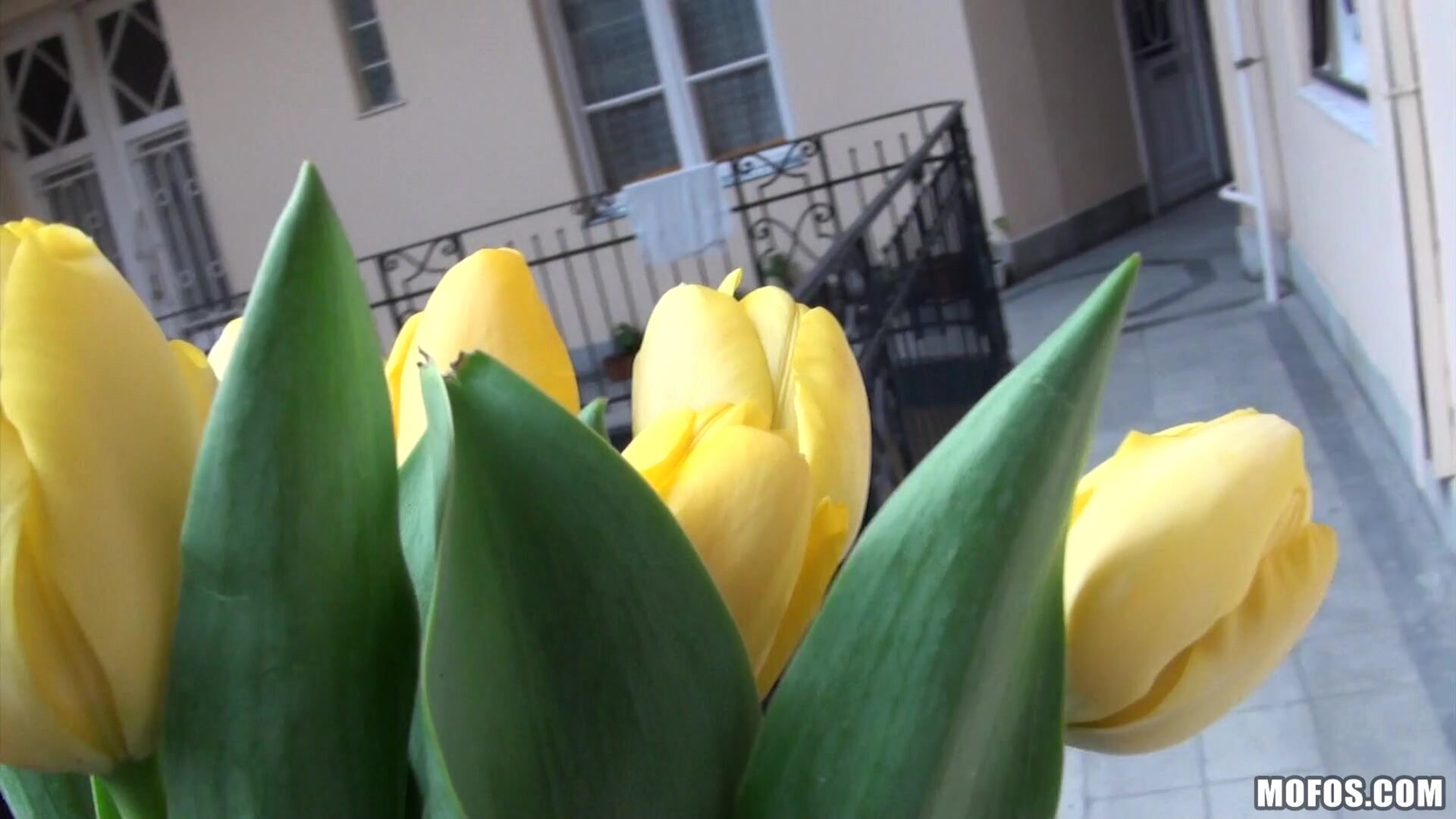 Couple Films Their First Anal