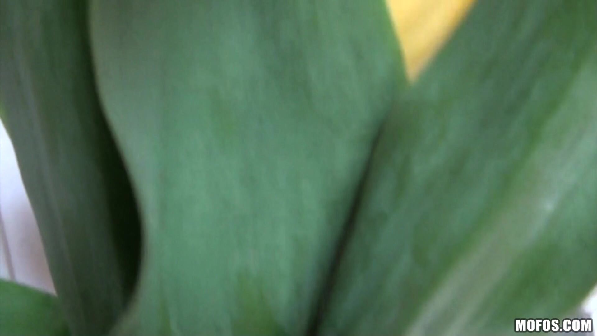 Couple Films Their First Anal