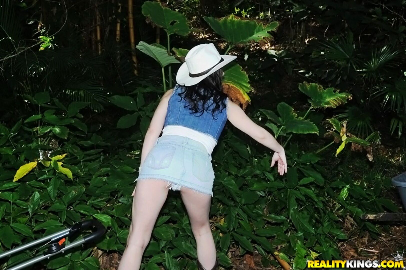 Country Coochie
