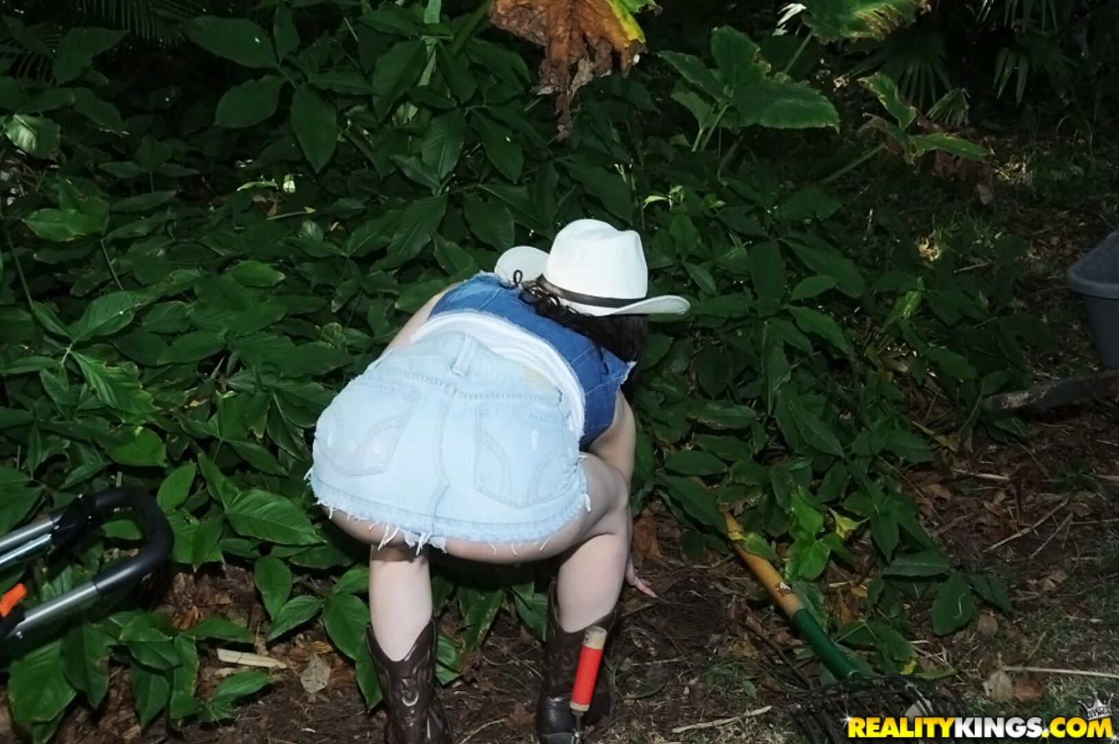 Country Coochie