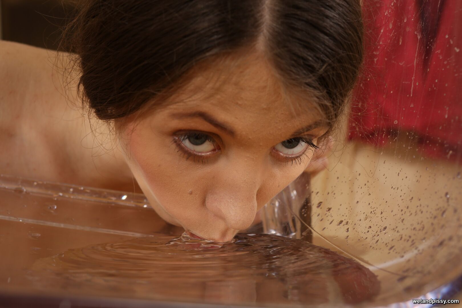 STEFANY — WET STEFANY 3014