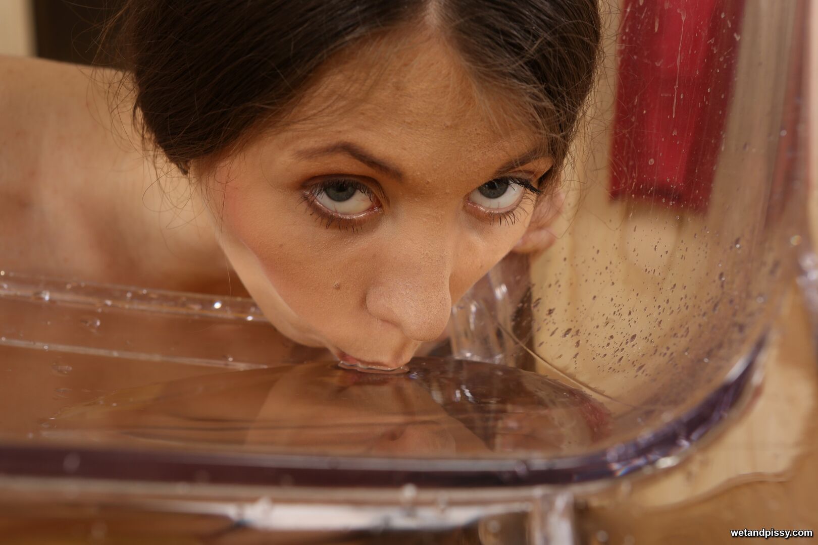 STEFANY — WET STEFANY 3014