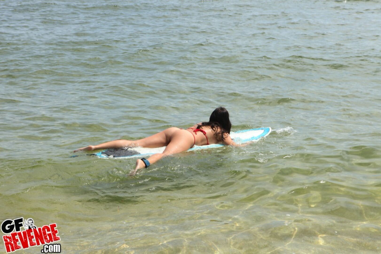 Surfs Up