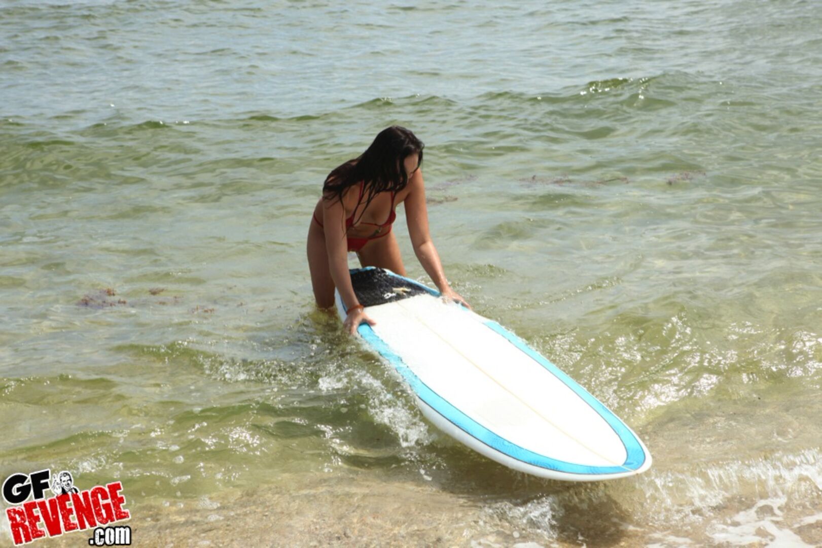 Surfs Up