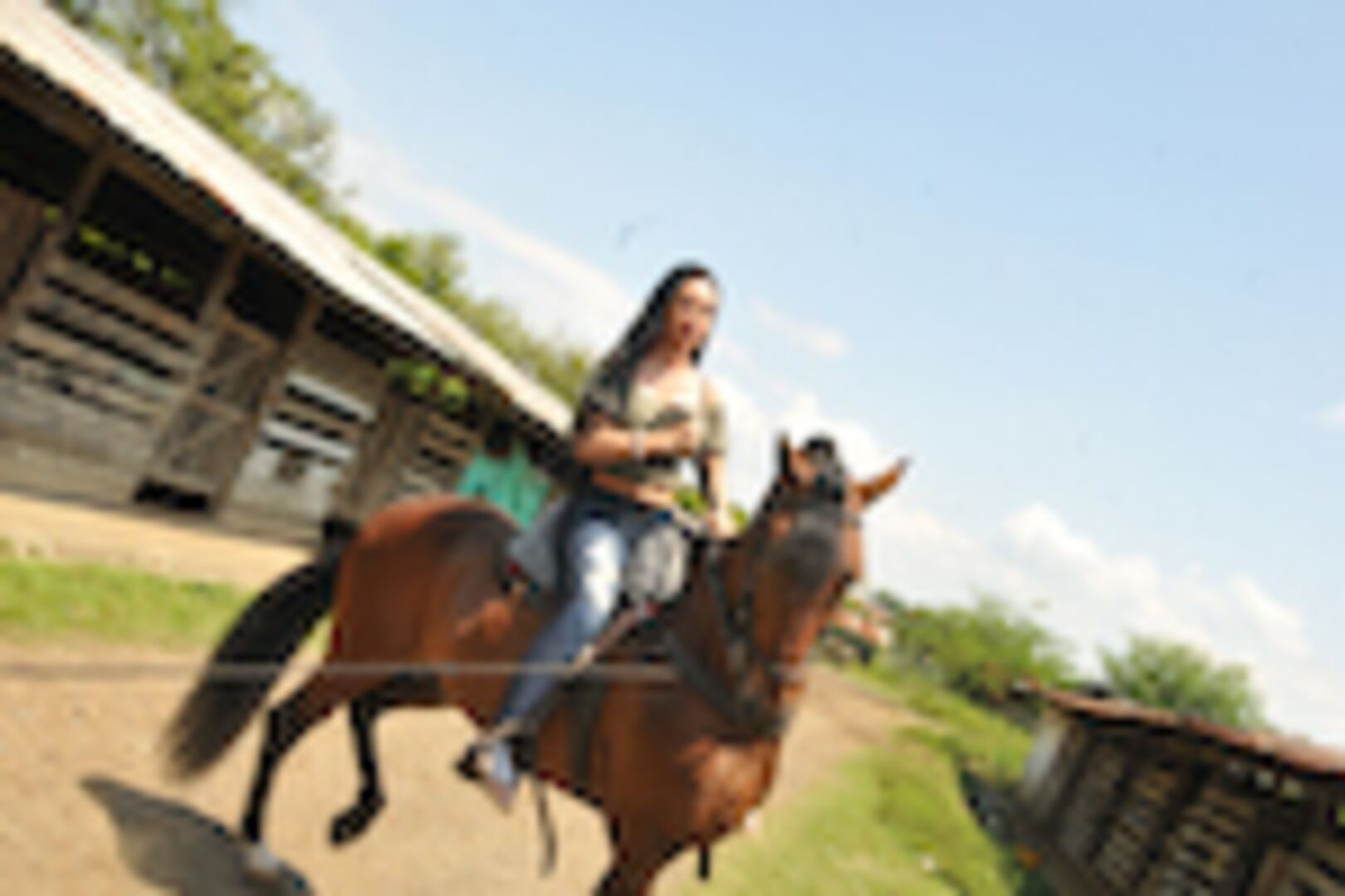 Beautiful tits