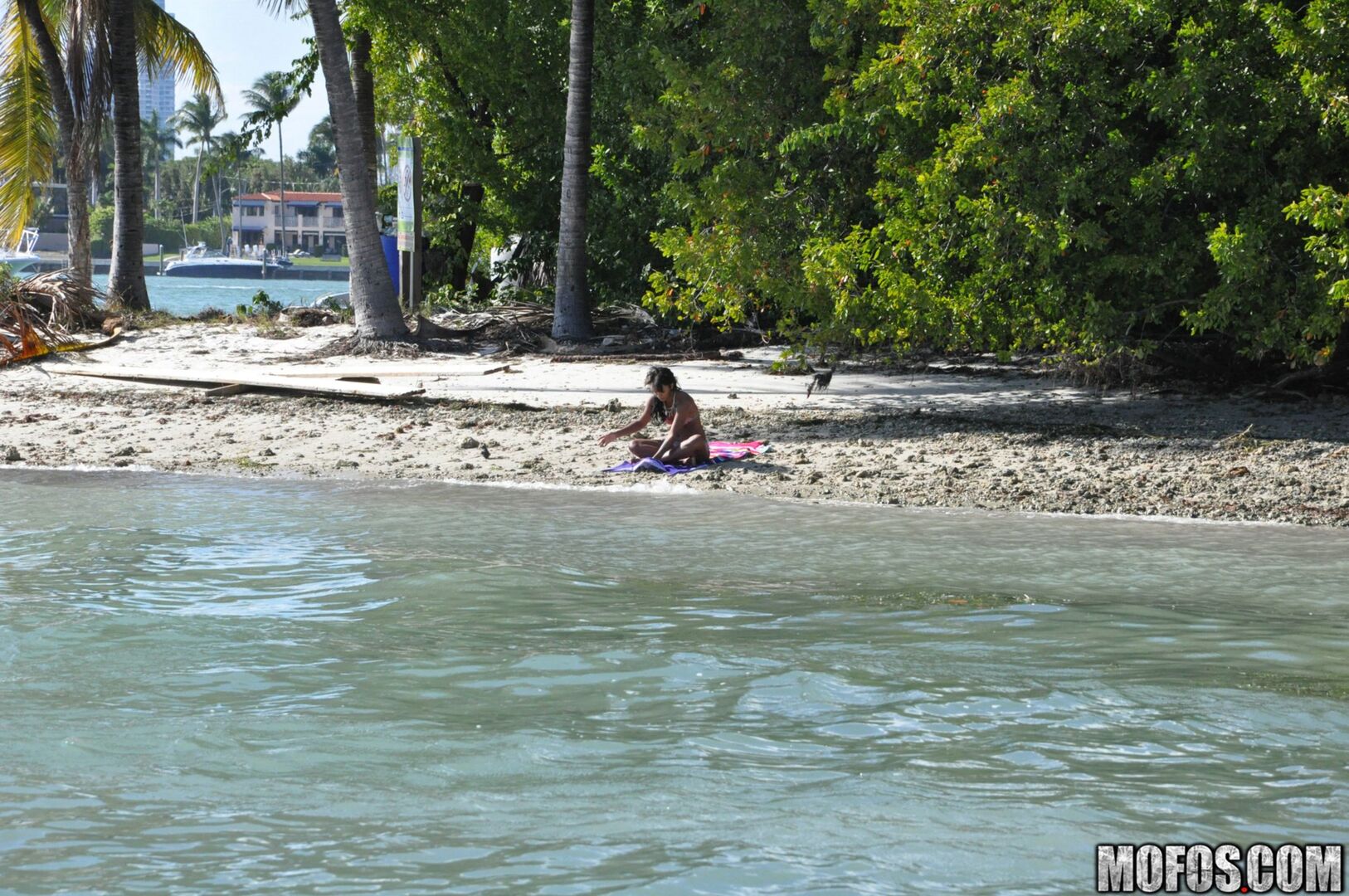 The Motion of the Ocean