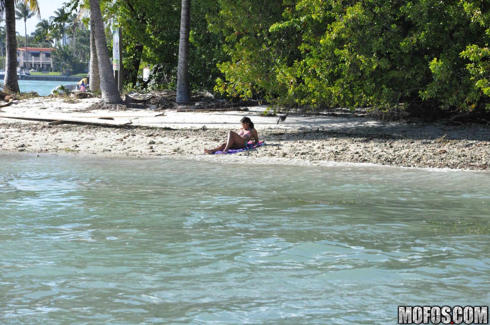 The Motion of the Ocean