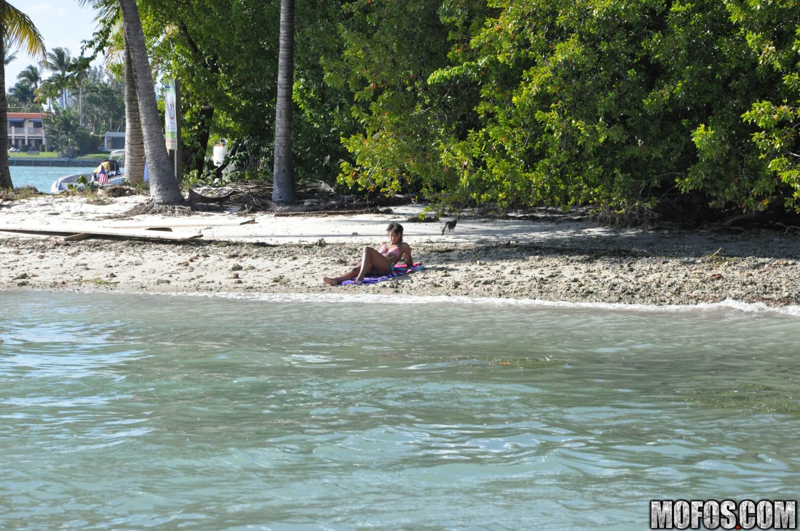 The Motion of the Ocean