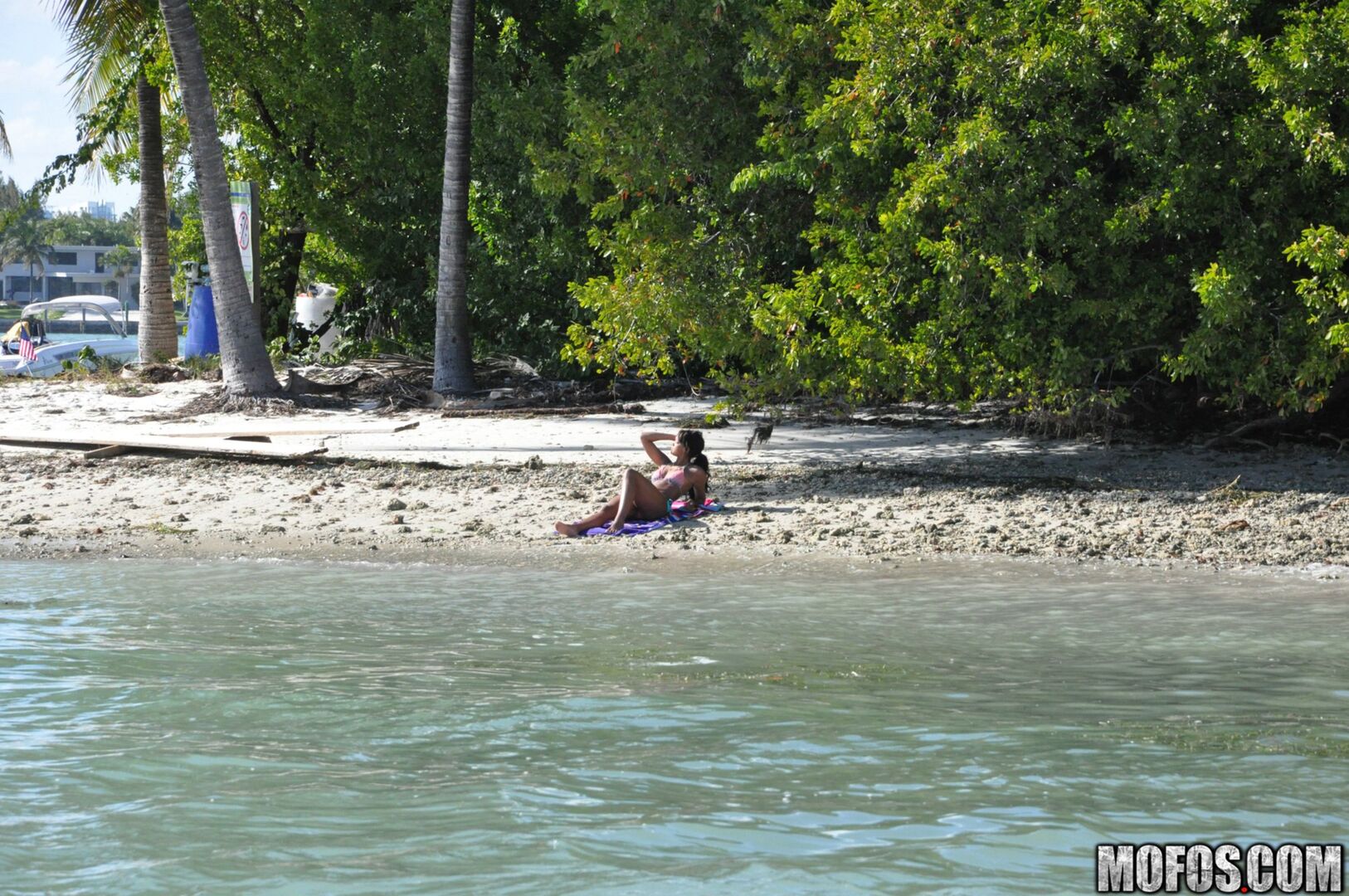 The Motion of the Ocean