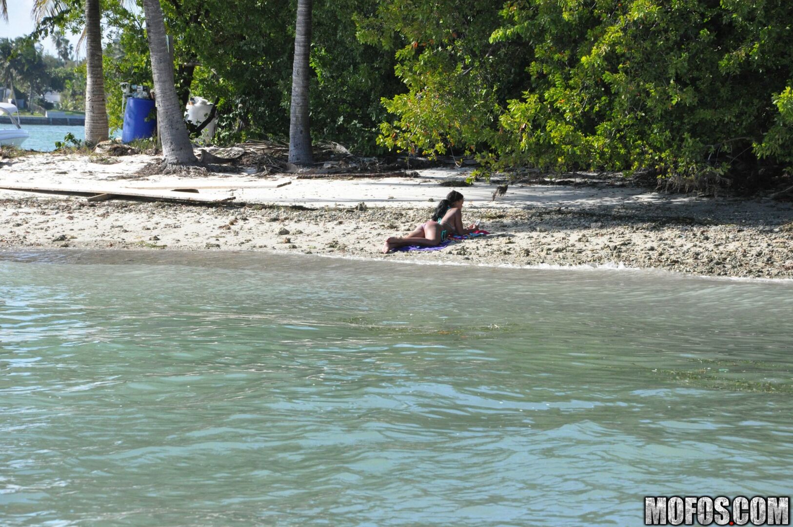 The Motion of the Ocean