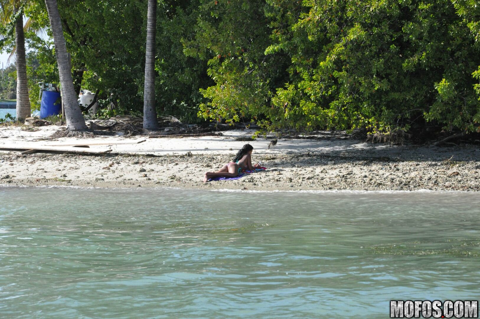 The Motion of the Ocean