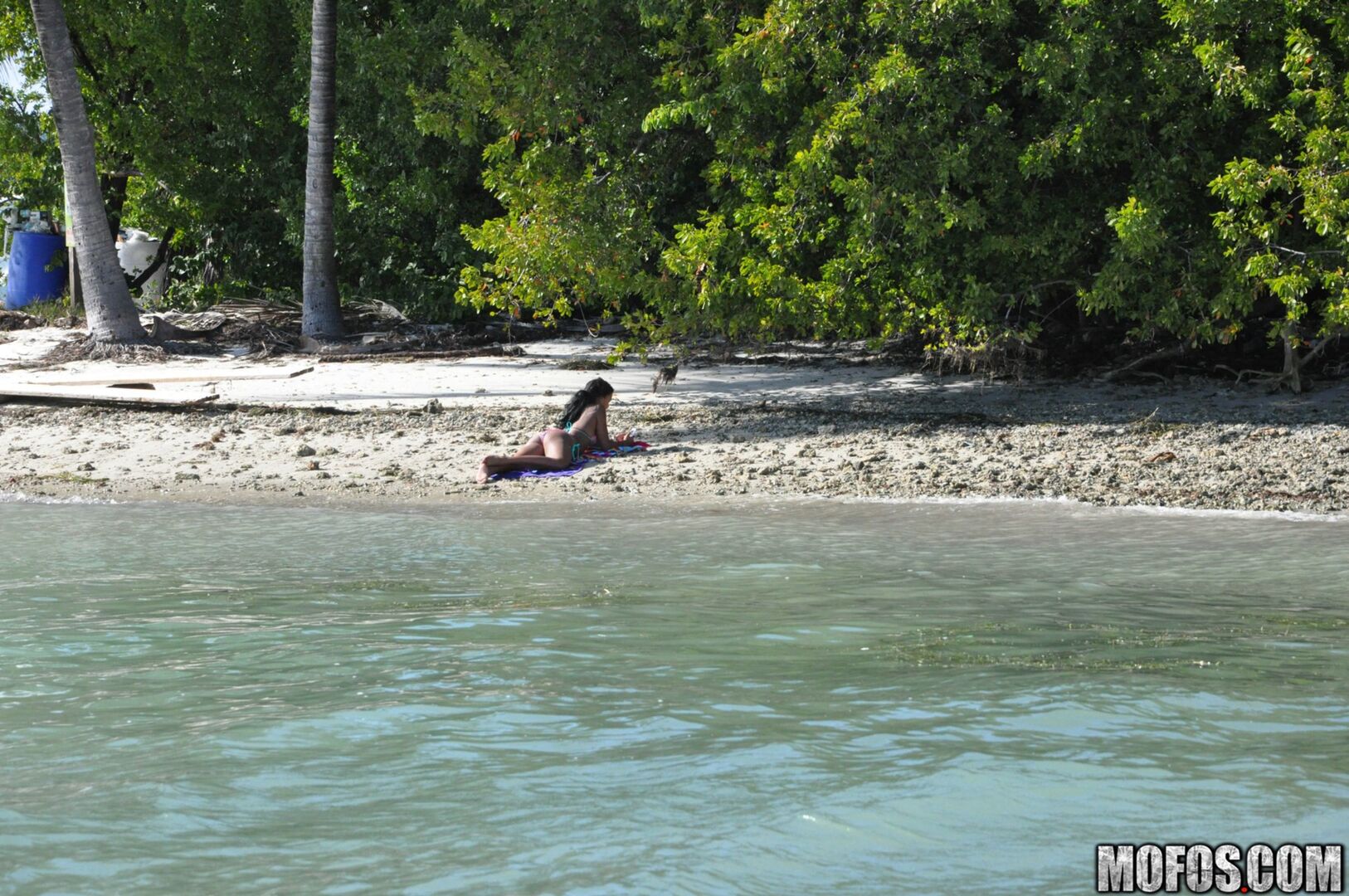 The Motion of the Ocean