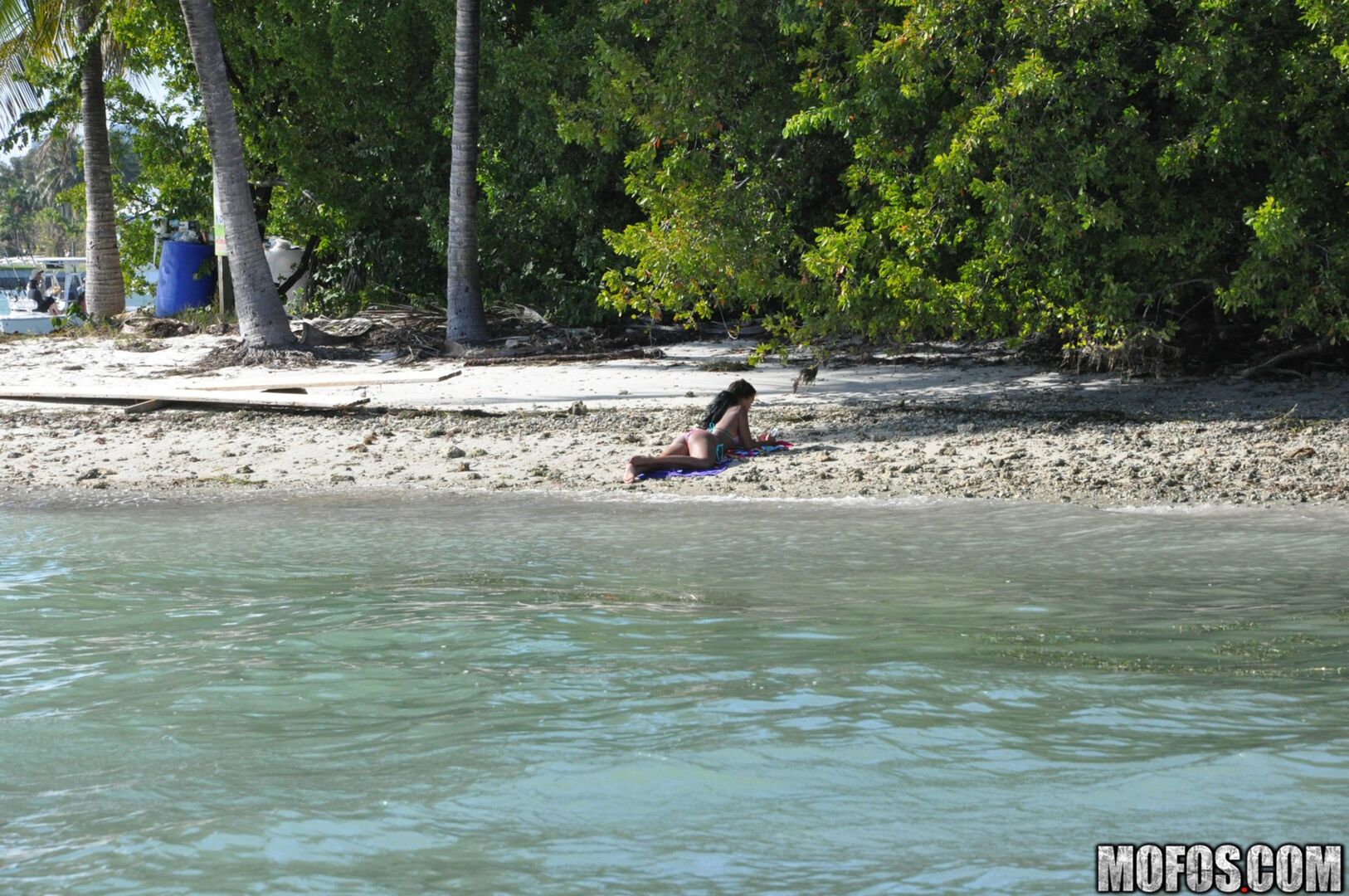 The Motion of the Ocean