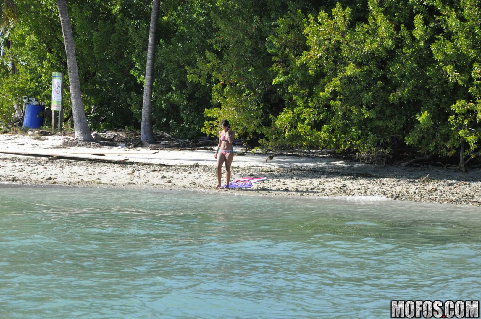 The Motion of the Ocean