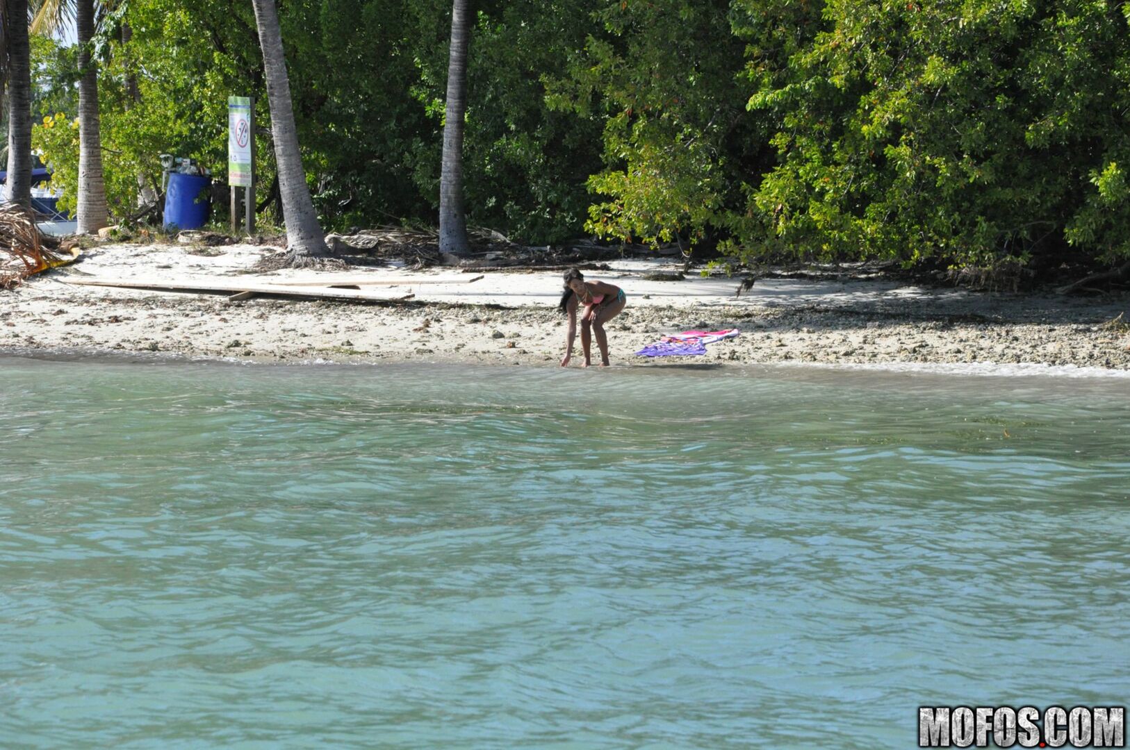 The Motion of the Ocean