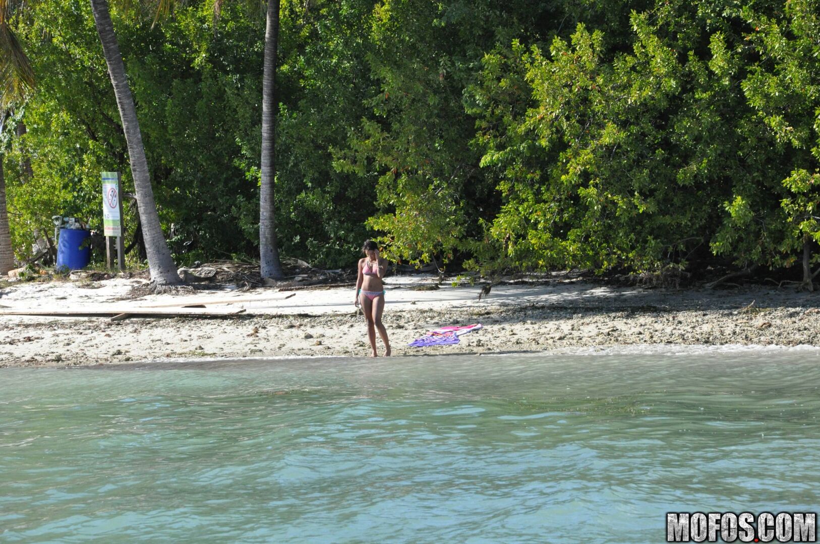 The Motion of the Ocean