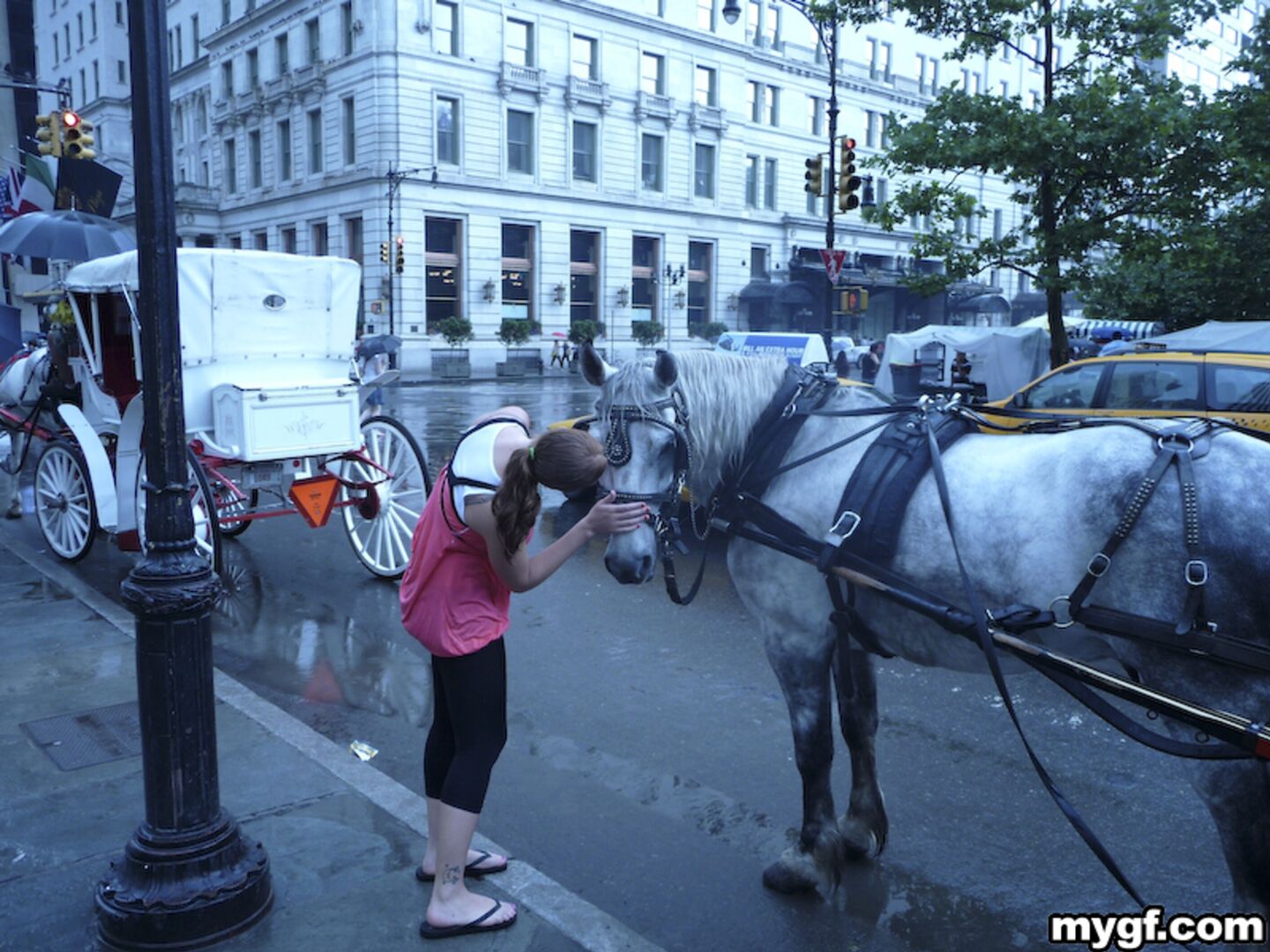 Fat ass & titties on my white girl!