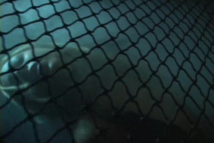 I Love Your Sexy Feet scene 5