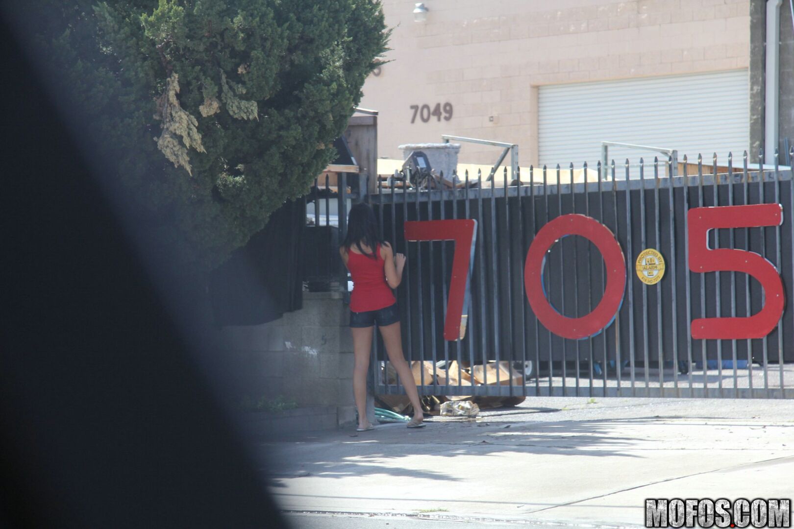The Thrill of Getting Caught 2309