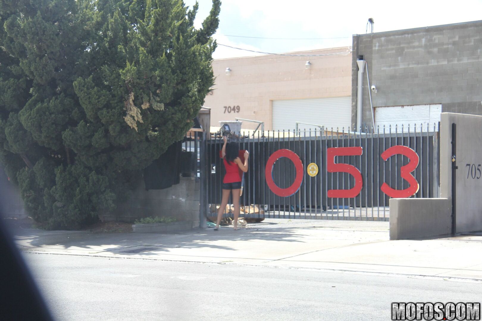 The Thrill of Getting Caught 2309
