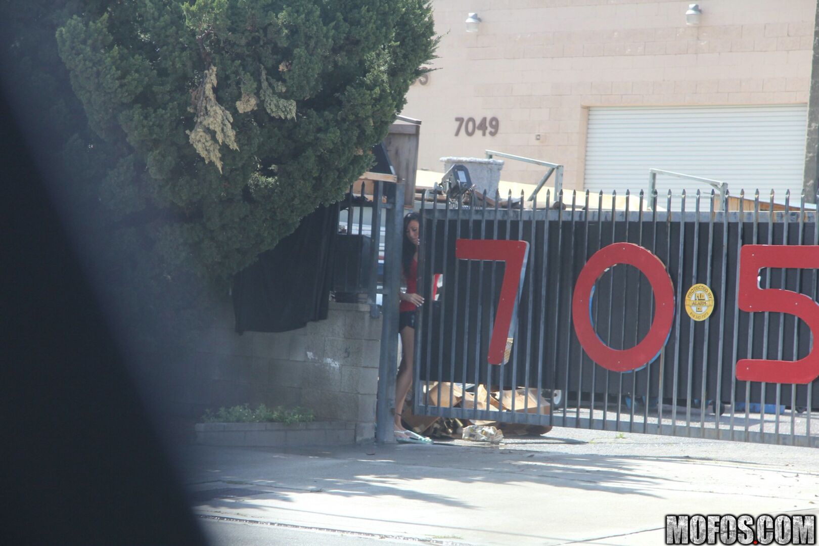 The Thrill of Getting Caught 2309