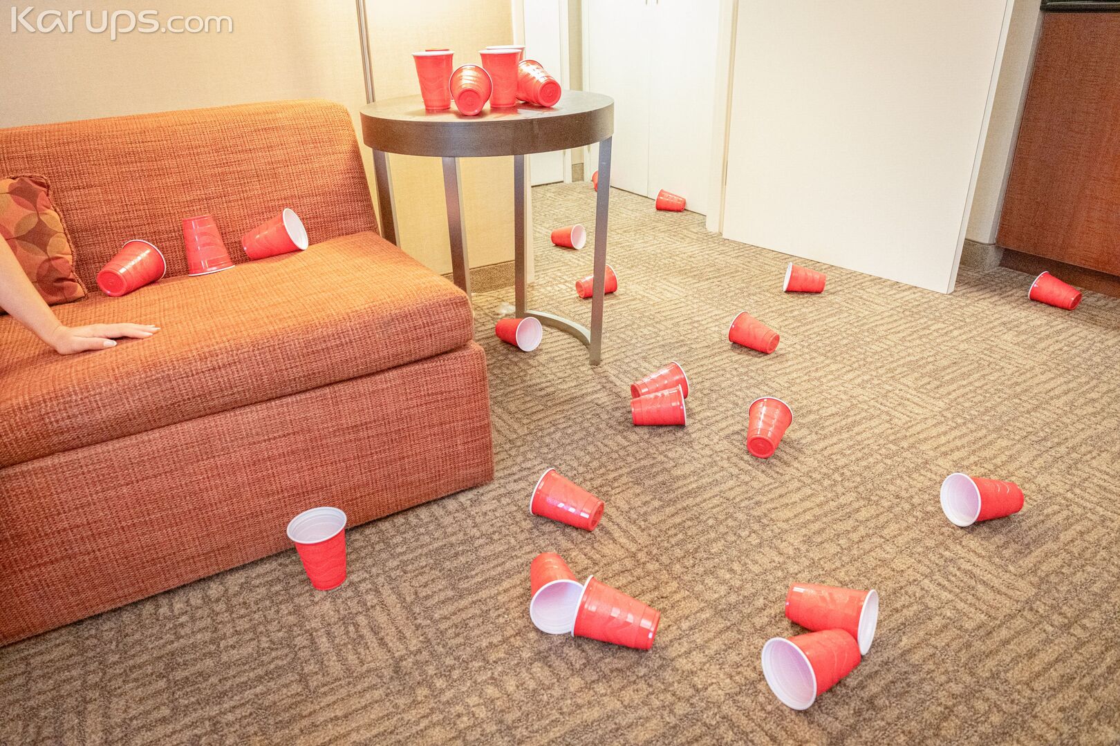 Party Hard 3009