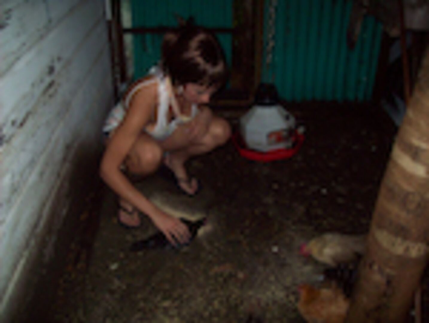 Super Hot Chick Loves Dick