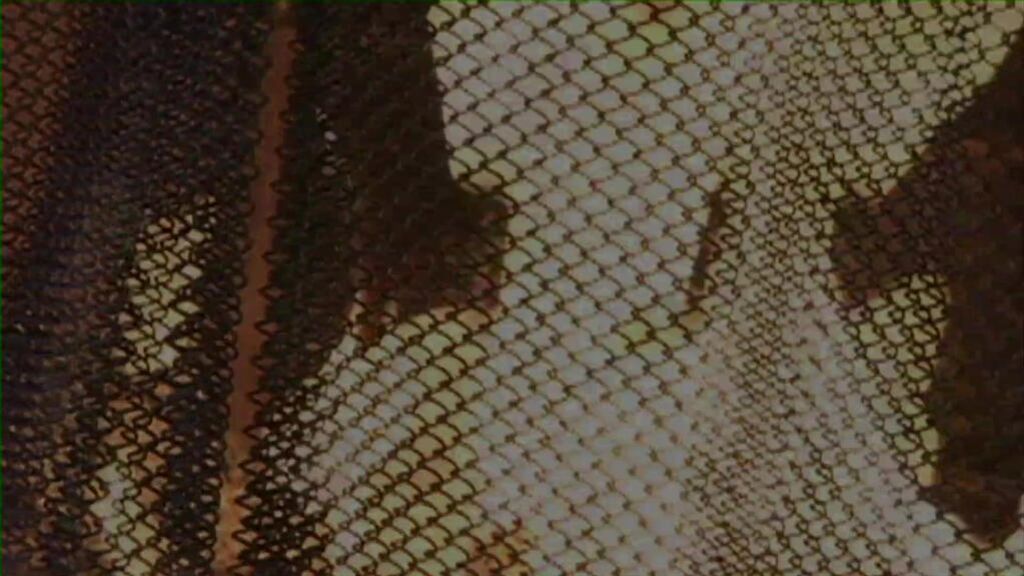 Lesbian HDVA1707