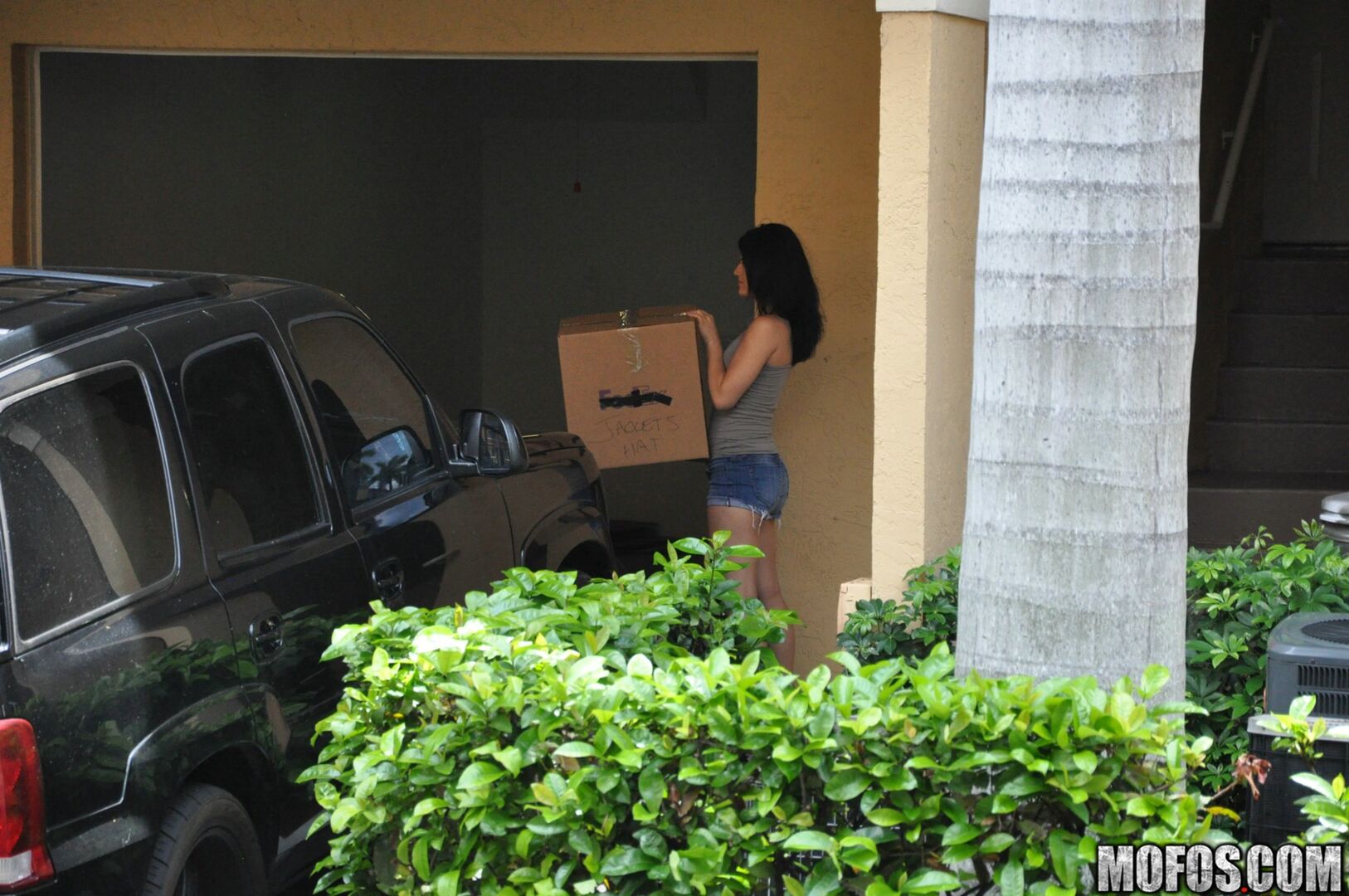 The Whore Next Door
