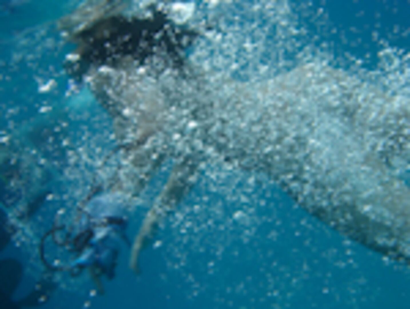 We're on a boat!