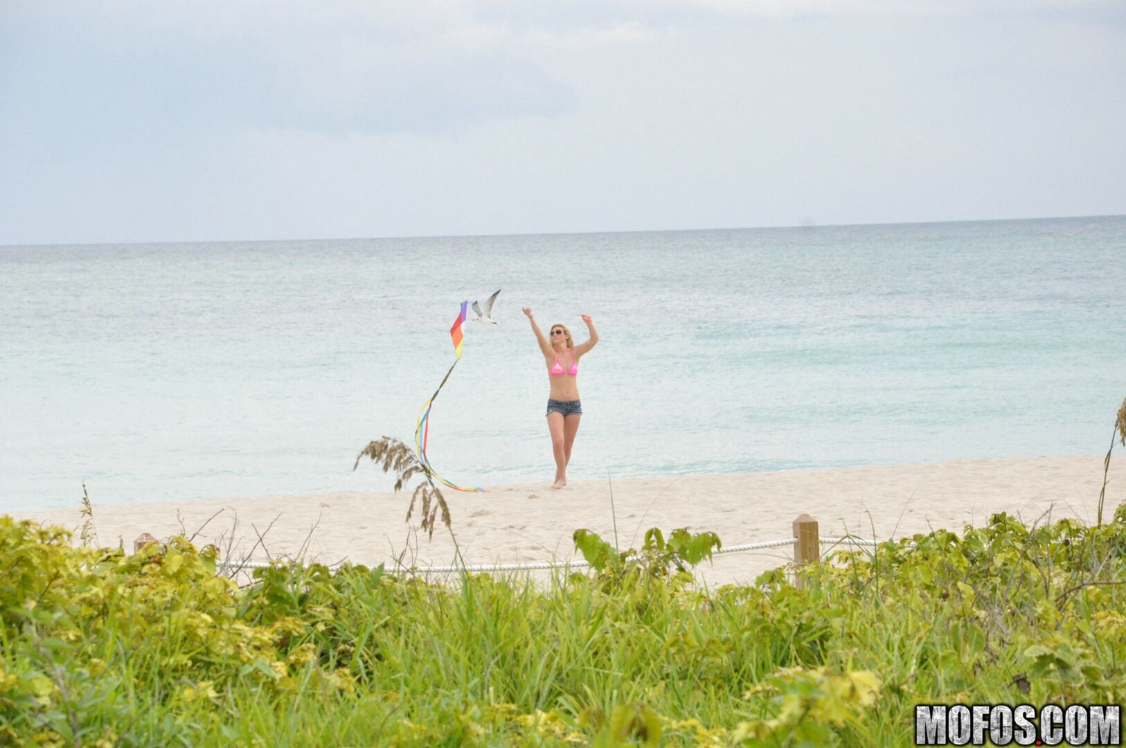 Kite Flying Cunt