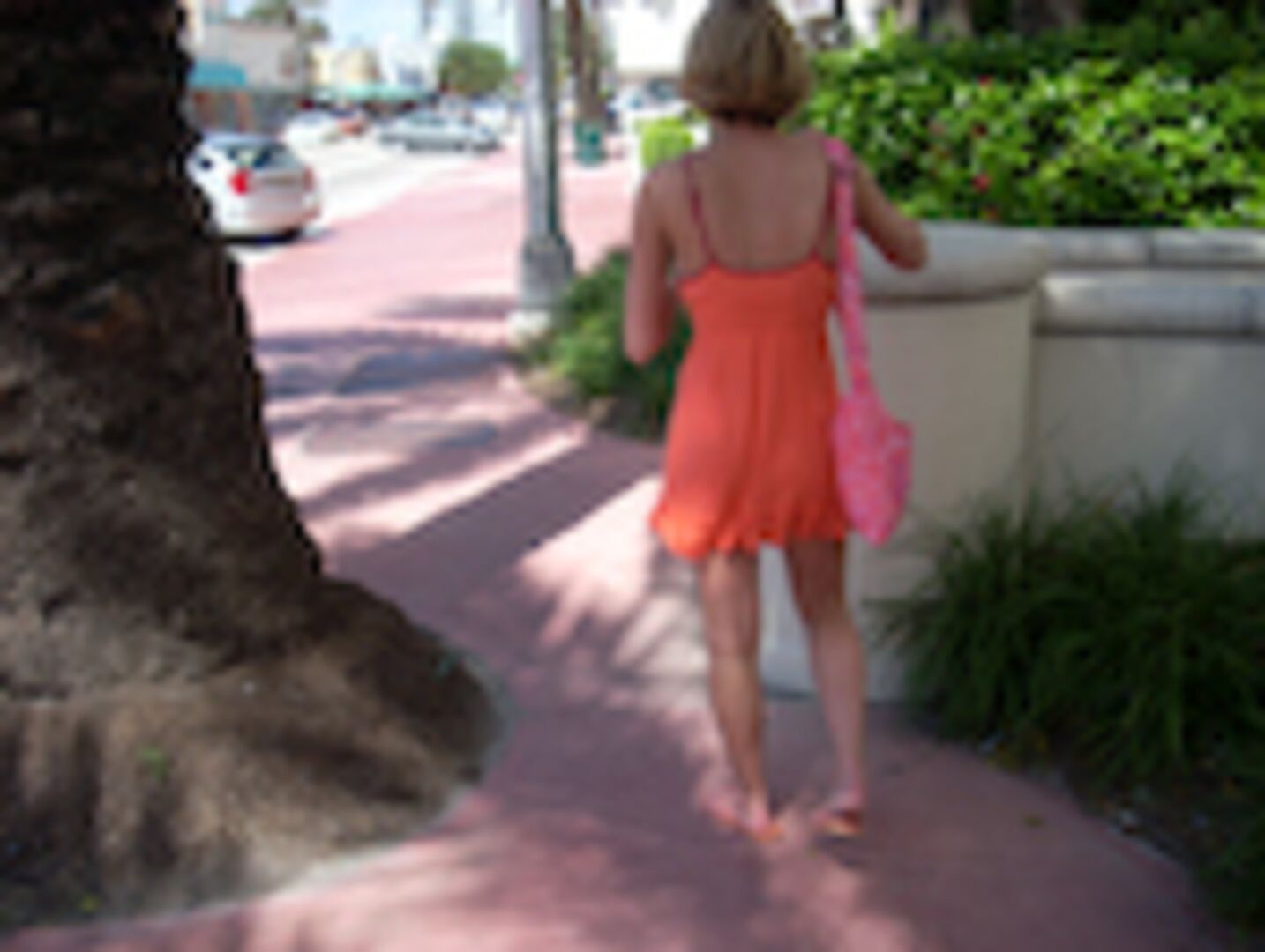 Outdoor Anal