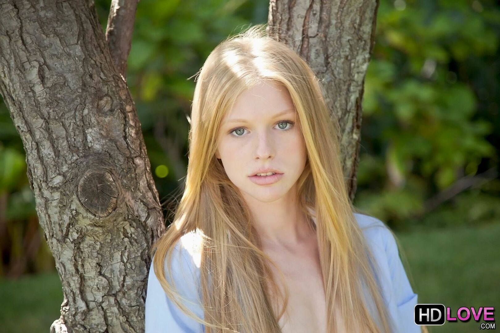 Blonde Dreams