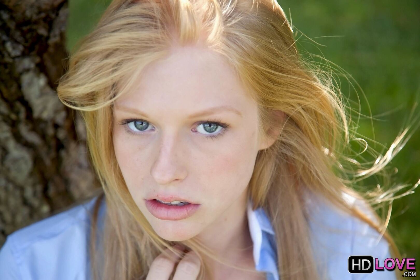 Blonde Dreams