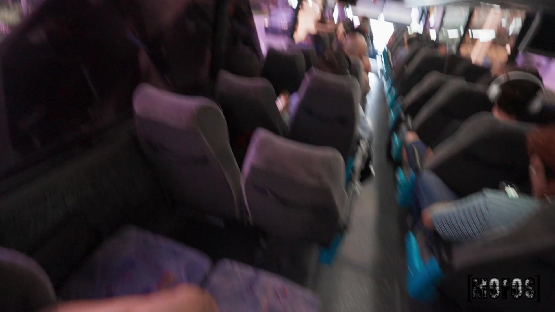 Wild Bus Ride