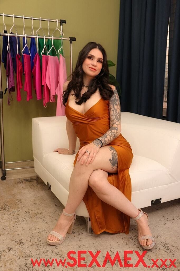 THE FAKE GAY MAKES HER A DRESS . Sol Raven